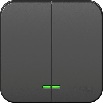 2-клавишный выключатель SCHNEIDER ELECTRIC BLANCA с подсветкой, с изолирующей пластиной, 10А, 250B, АНТРАЦИТ