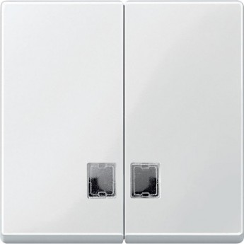Клавиша двойная SCHNEIDER ELECTRIC MERTEN с окошком для световой индикации, ПОЛ.БЕЛЫЙ, SM